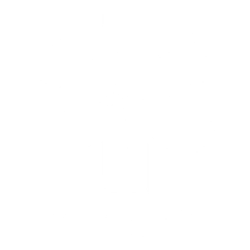 Paramedic Flash logo