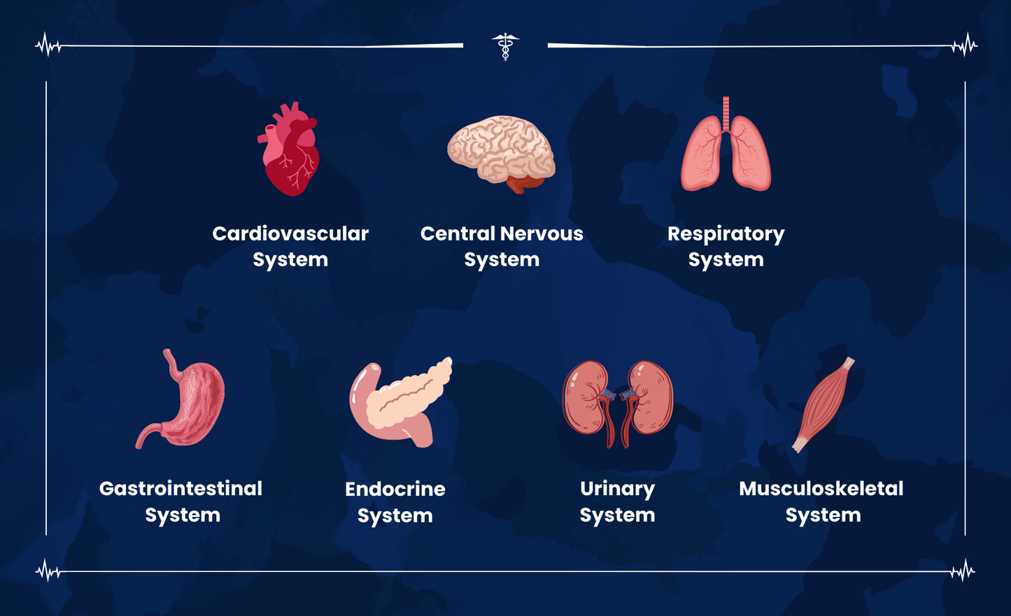 Paramedic Pharmacology Cards