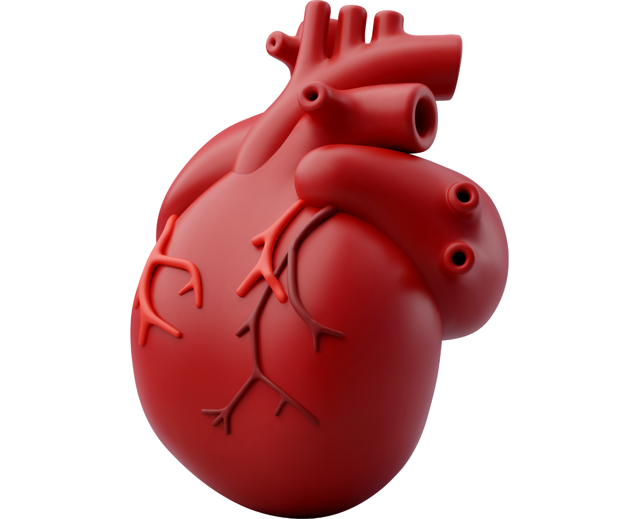 ACE YOUR NEXT CARDIOLOGY EXAM!