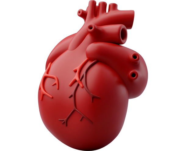 ACE YOUR NEXT CARDIOLOGY EXAM!