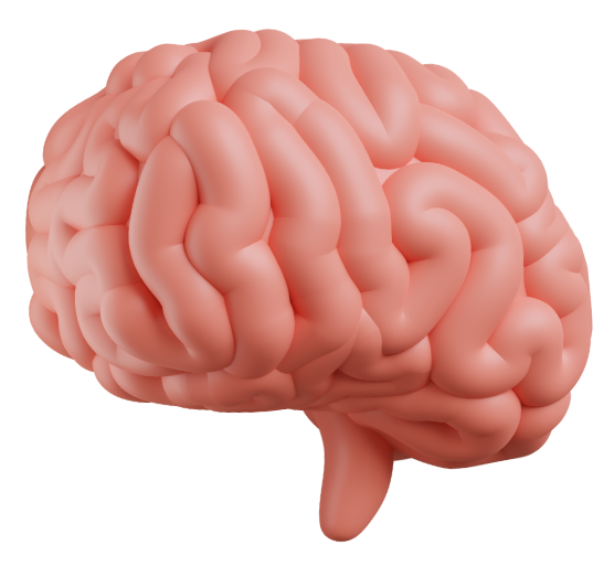 Start THINKing LIKE THE NREMT!