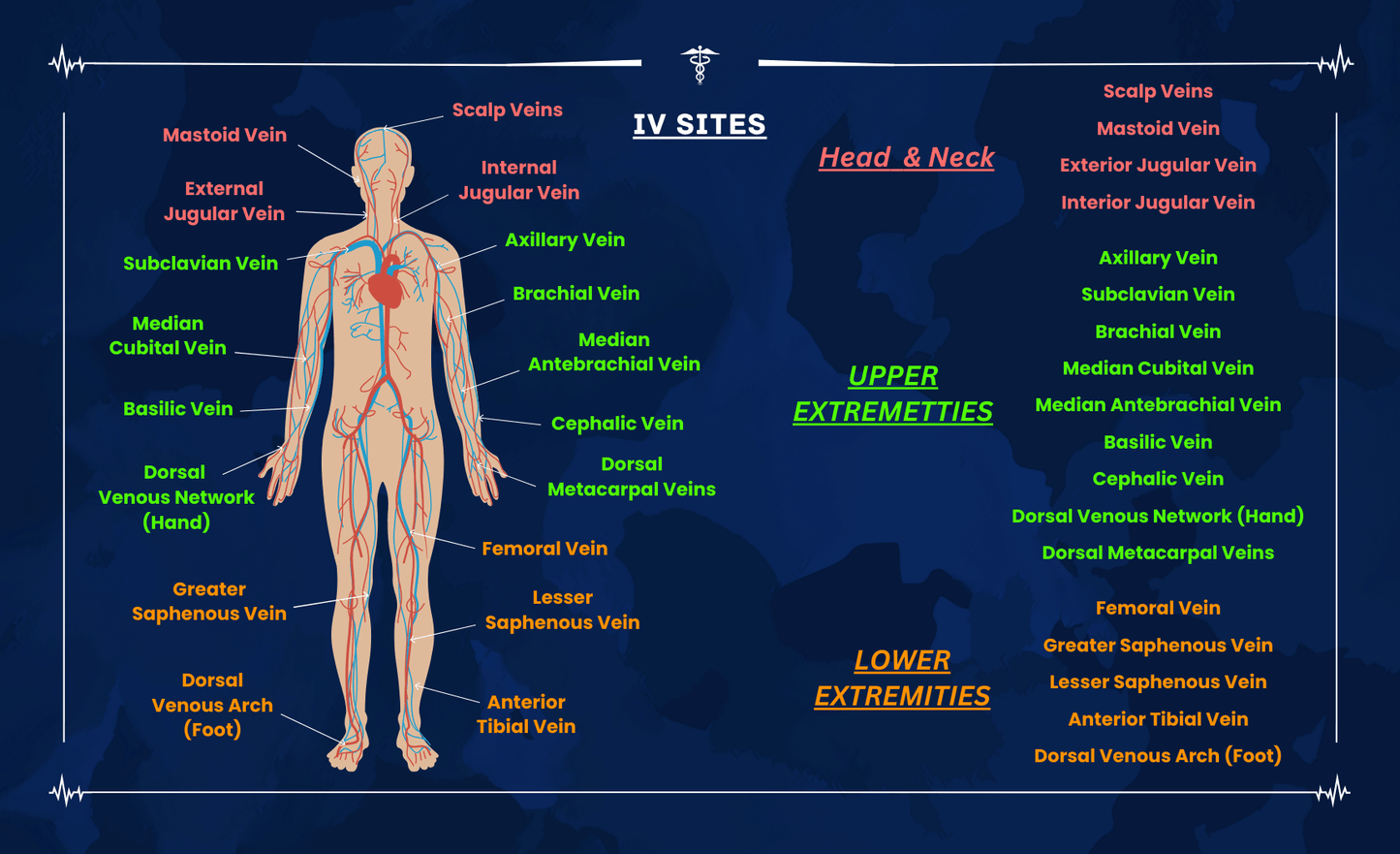 Paramedic Pharmacology Cards