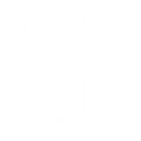 Paramedic Flash