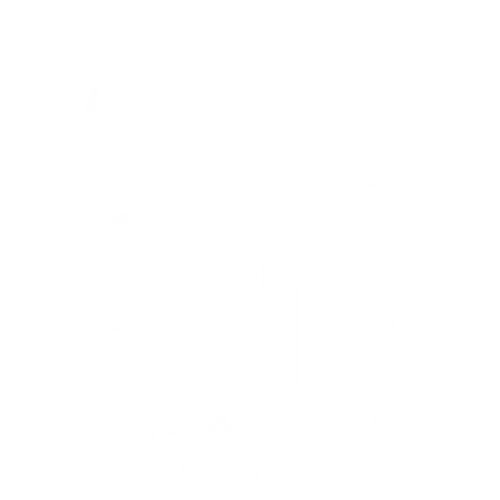 Paramedic Flash